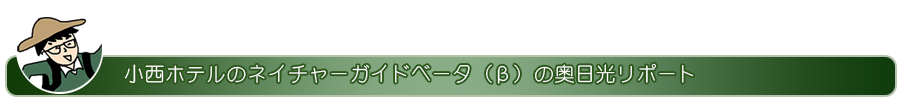 おさるのオッキーの奥日光リポート