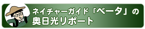 おさるのオッキーの奥日光リポート