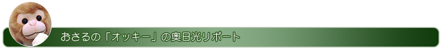 おさるのオッキーの奥日光リポート