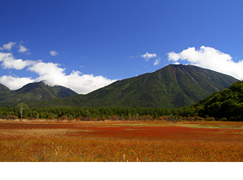 日光 東照宮へ行こう 強力なパワースポット日光を巡る