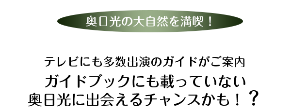 奥日光の大自然を満喫！ネイチャーツアー