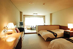 regular room/twin bed and Japanese room